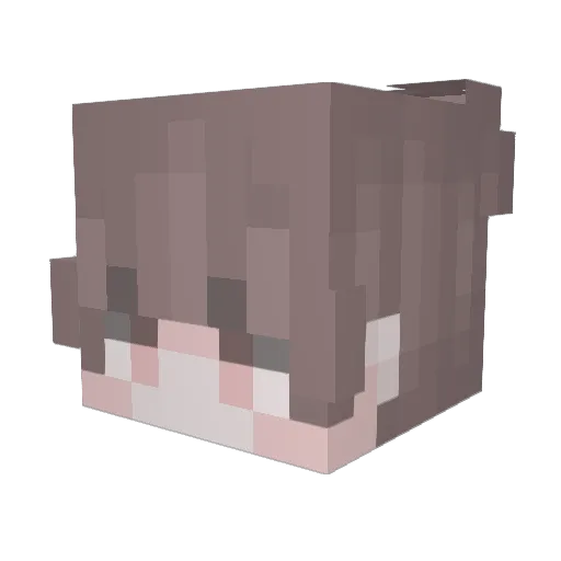 Healthiness Minecraft avatar head, 3D render