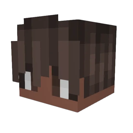 HealthyVeggies Minecraft avatar head, 3D render