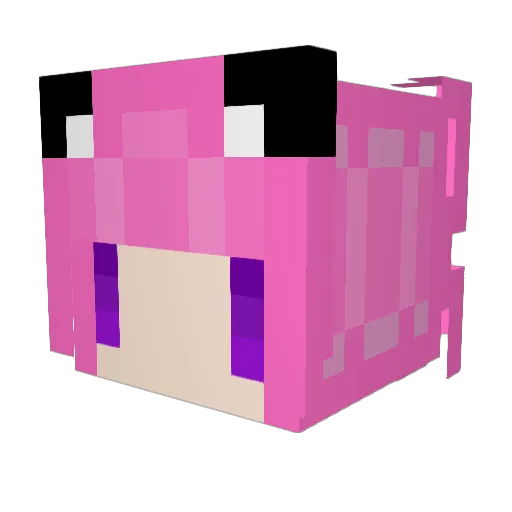 Healthy_Y Minecraft avatar head, 3D render