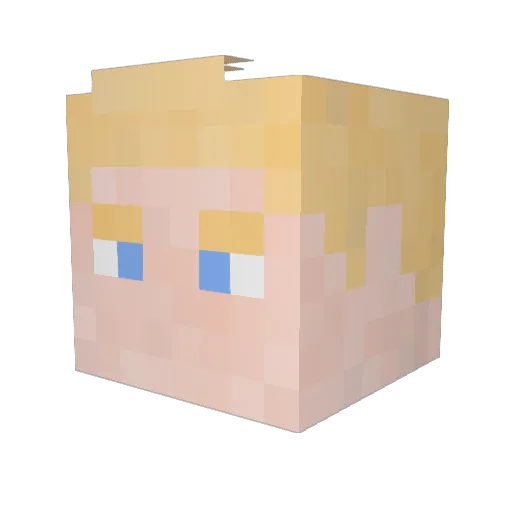 Healusion1 Minecraft avatar head, 3D render