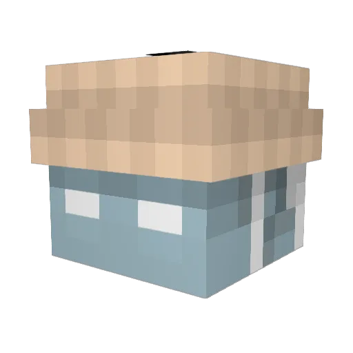 HealySonder Minecraft avatar head, 3D render