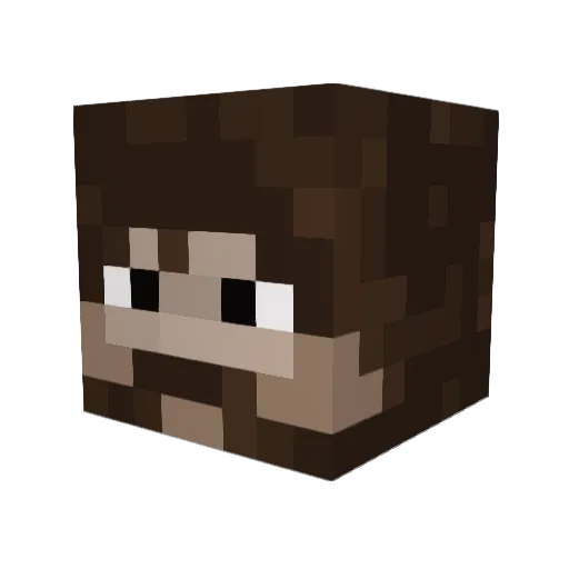 Hearaq Minecraft avatar head, 3D render