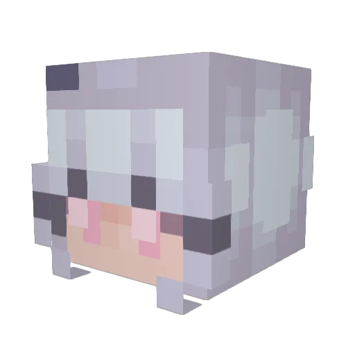 Heart1529 Minecraft avatar head, 3D render