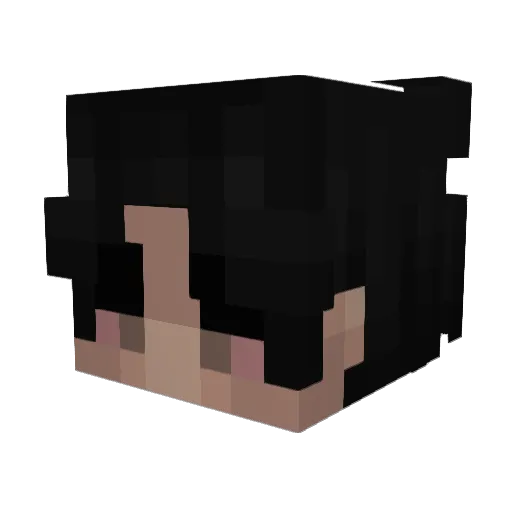 HeartBrokenChris Minecraft avatar head, 3D render