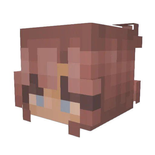 HeartFeltSarrow Minecraft avatar head, 3D render