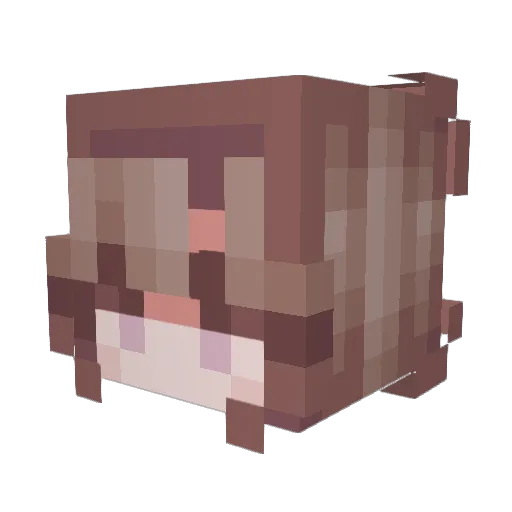 HeartForChickens Minecraft avatar head, 3D render
