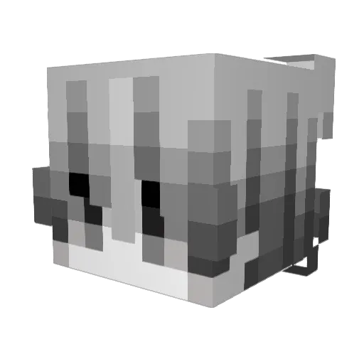 HeartOnIce Minecraft avatar head, 3D render