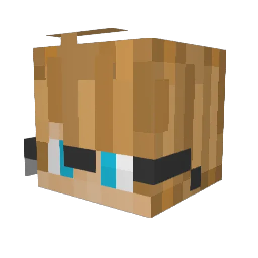 Heart_of_Pluto Minecraft avatar head, 3D render