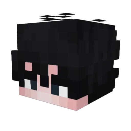 Heartless27 Minecraft avatar head, 3D render