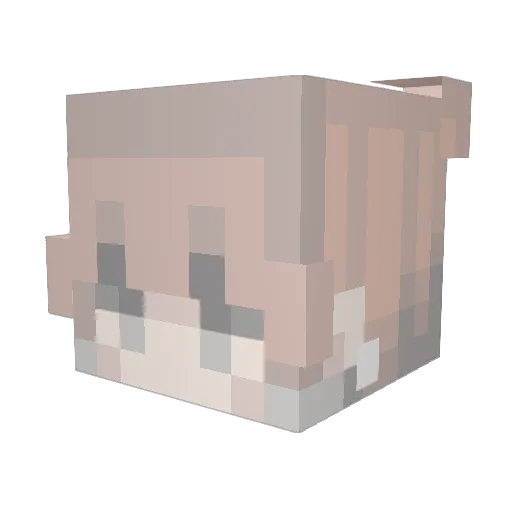 HeartlessPrince_ Minecraft avatar head, 3D render