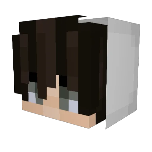 HeartlessW101 Minecraft avatar head, 3D render