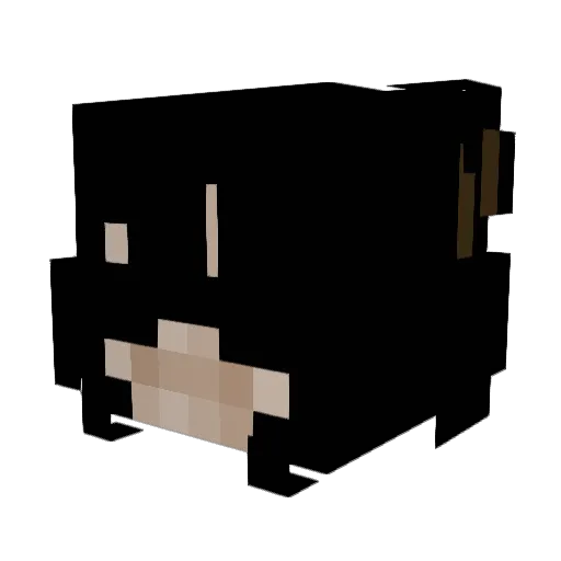 Hearts444u Minecraft avatar head, 3D render