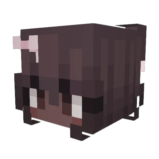 Hearts4Jae Minecraft avatar head, 3D render