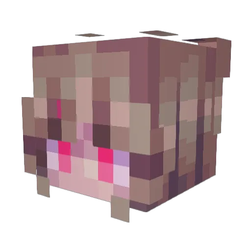 Heartss Minecraft avatar head, 3D render