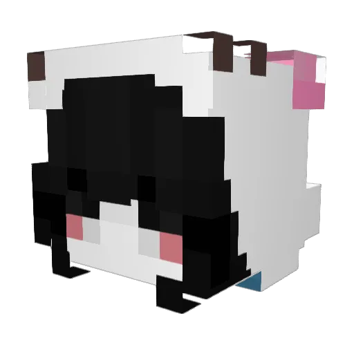 Heartzcats Minecraft avatar head, 3D render