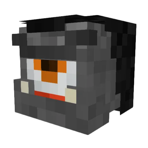 Heat3005 Minecraft avatar head, 3D render