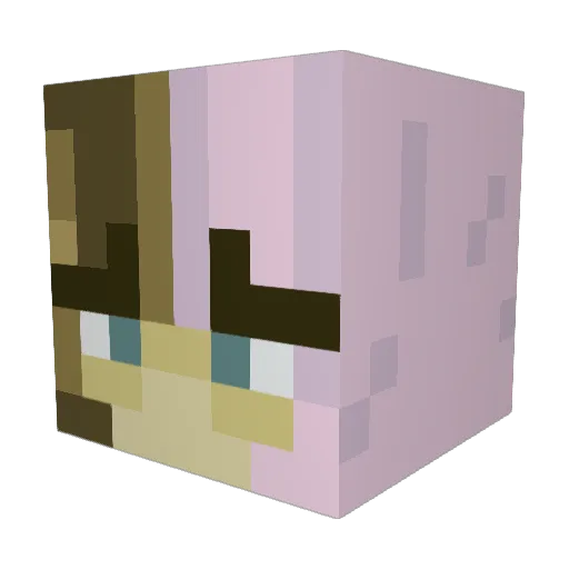 HeatPlayerED Minecraft avatar head, 3D render