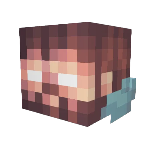 HeatedDox Minecraft avatar head, 3D render