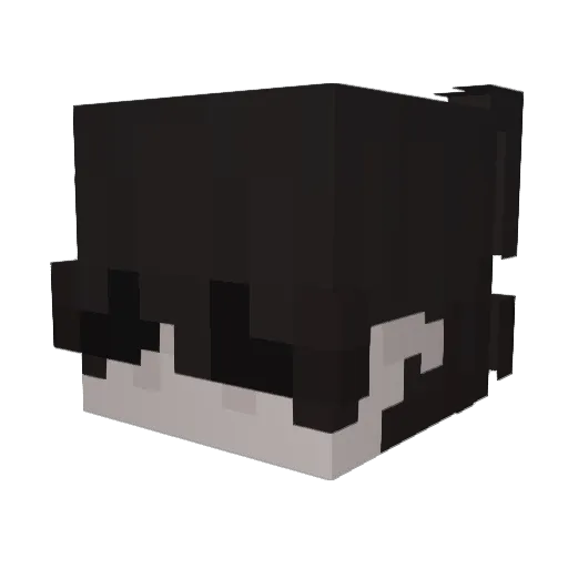 HeatedPuppet129 Minecraft avatar head, 3D render