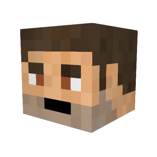 HeatedZorba Minecraft avatar head, 3D render