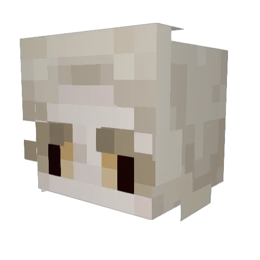 HeaterMan Minecraft avatar head, 3D render