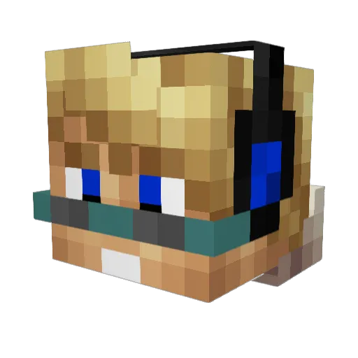 Heath894 Minecraft avatar head, 3D render