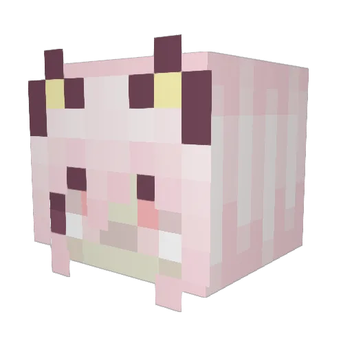 HeatherSGamer Minecraft avatar head, 3D render