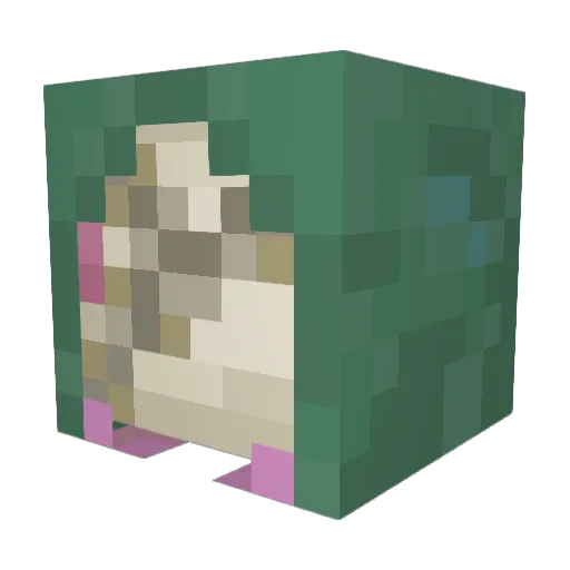 HeathernHeaven Minecraft avatar head, 3D render