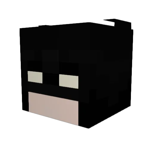 HeathyTrashBen Minecraft avatar head, 3D render