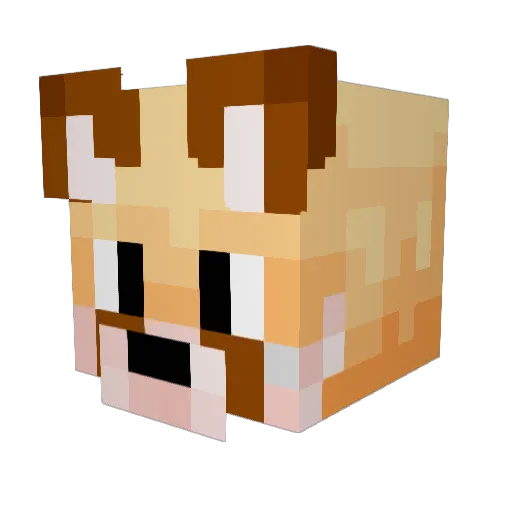 Heatwave069 Minecraft avatar head, 3D render
