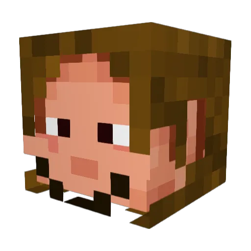 Heaus Minecraft avatar head, 3D render