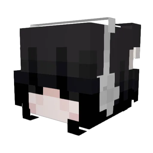Heaven2204 Minecraft avatar head, 3D render