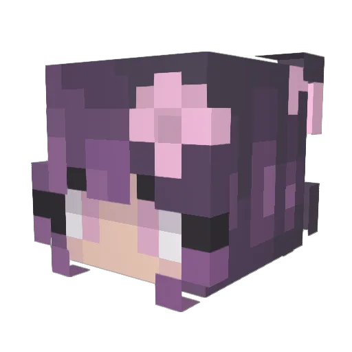 Heaven555 Minecraft avatar head, 3D render