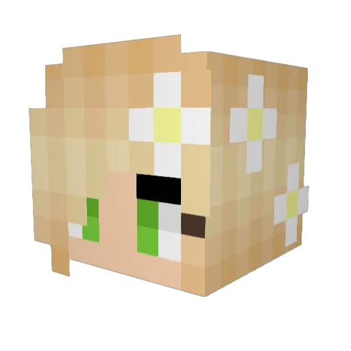 Heaven7529 Minecraft avatar head, 3D render