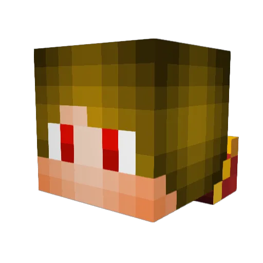 HeavenDragon29 Minecraft avatar head, 3D render