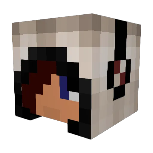HeavenNHell9 Minecraft avatar head, 3D render