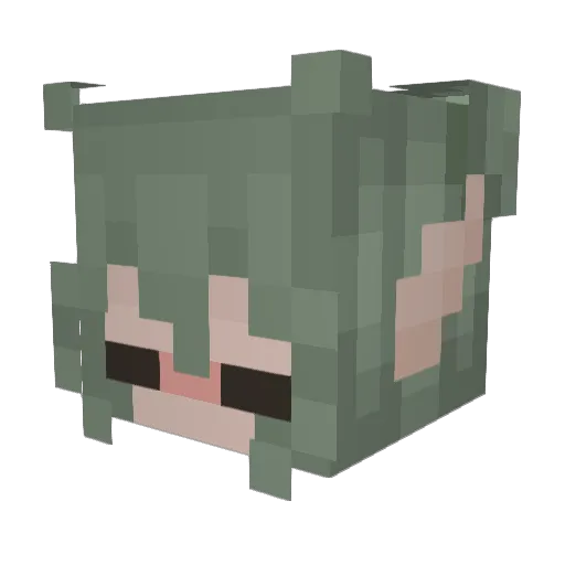 HeavenT1 Minecraft avatar head, 3D render