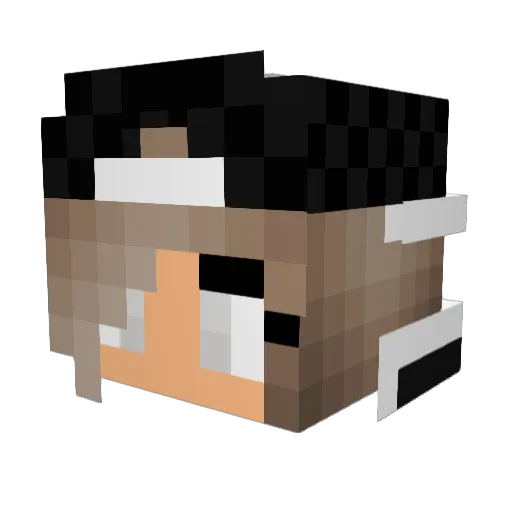 Heaven_Aqua Minecraft avatar head, 3D render