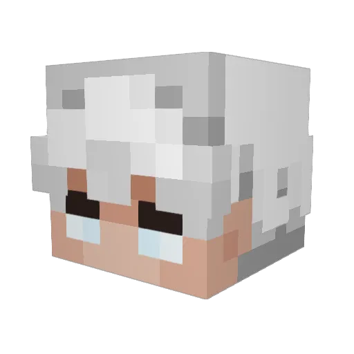 Heavensbee Minecraft avatar head, 3D render