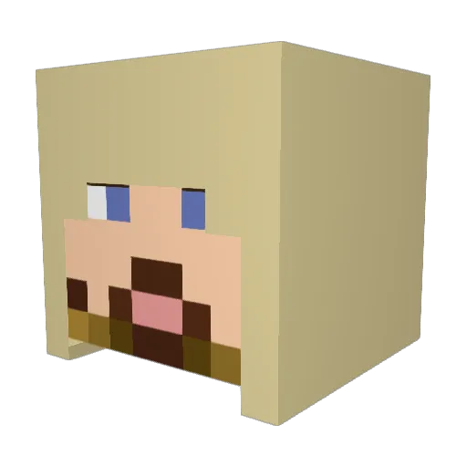 HeavenwardJedi Minecraft avatar head, 3D render