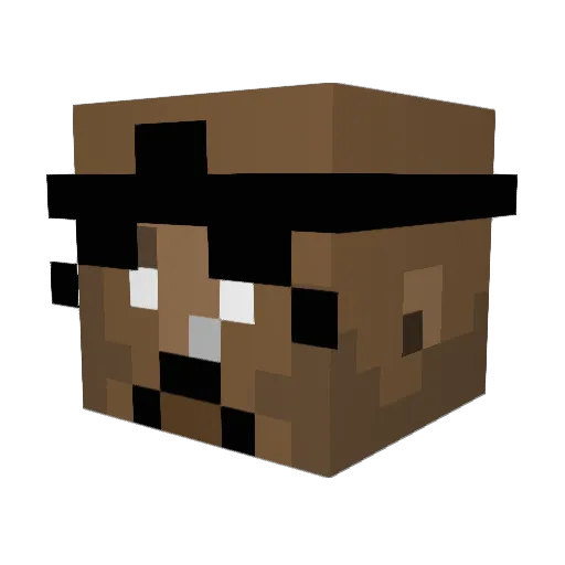 Hebby1234 Minecraft avatar head, 3D render