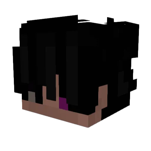 Heber4004 Minecraft avatar head, 3D render