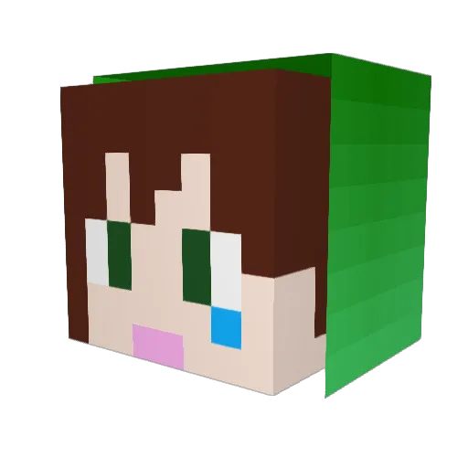 Hebereke136 Minecraft avatar head, 3D render