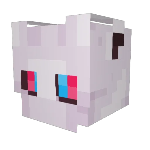 HeckDawg Minecraft avatar head, 3D render