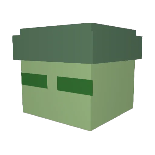 HeckTyler Minecraft avatar head, 3D render