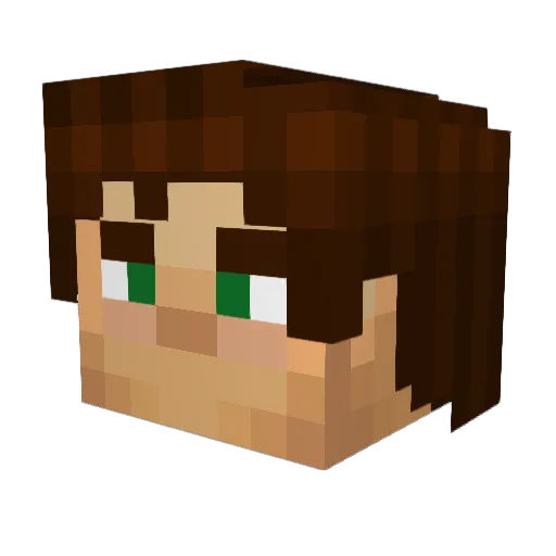 Hecker2000 Minecraft avatar head, 3D render