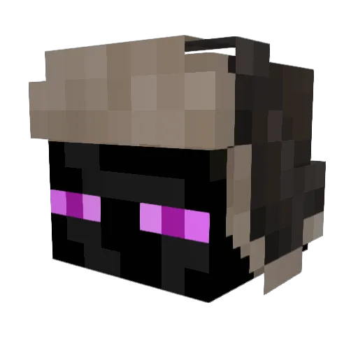 HeckerPlaysMC Minecraft avatar head, 3D render