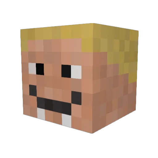 Heckfleisch Minecraft avatar head, 3D render