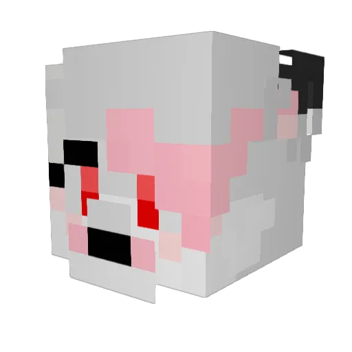 HeckinHecc18 Minecraft avatar head, 3D render