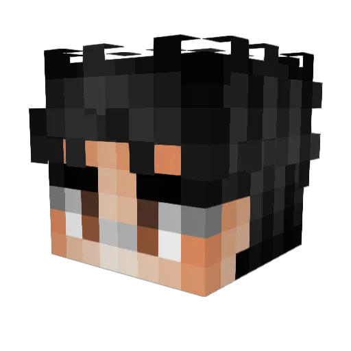 HeckoLeSorcier Minecraft avatar head, 3D render